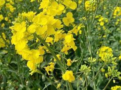 -阆辣荟餐饮(老味道8年·古城店)