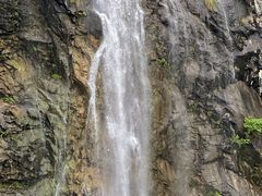 -上海辰山植物园