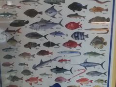 -深蓝金枪·深海鱼刺身(吉大店)