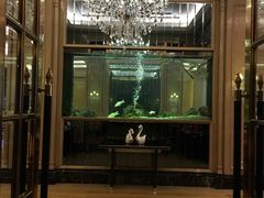 -星河湾半岛酒店-真粤中餐厅