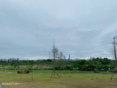 -白鹭湾湿地公园
