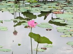-云龙湖旅游景区