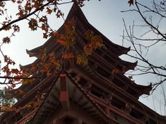 -沙市市中山公园