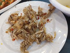 -驻海渔市(置信店)