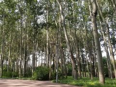 -仁和公园(顺义区)