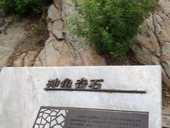-定都峰