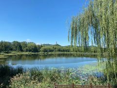 -北坞公园