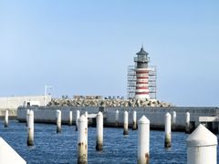 -清水湾旅游度假区