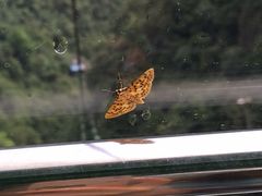 -井冈山风景名胜区