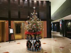 -上海锦江汤臣洲际大酒店壹阶层