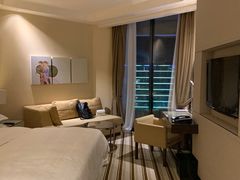 -芽庄喜来登水疗酒店