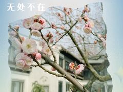 -杭州西湖柳莺里酒店