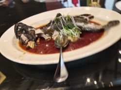 -沈阳君悦酒店·宴会厅