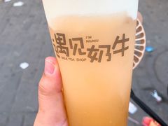 -古乐牛香·鲜牛肉牛杂火锅(新区店)
