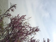 湖州太湖旅游度假区-苏州吴中太湖旅游区