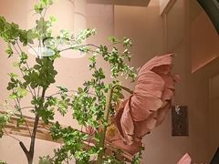 -觅唐MITONG(鸟巢店)