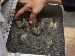 叶氏麻糍-叶氏麻糍(鼓浪屿店)