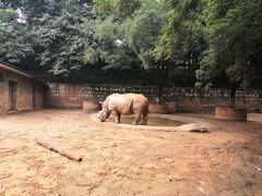 -昆明动物园