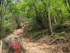 -紫金山山顶公园
