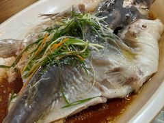 清蒸剑鱼-大食家餐厅(五星步行商业街店)