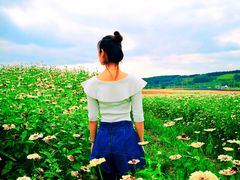 -莲花山花海