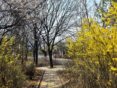 -长春市南湖公园