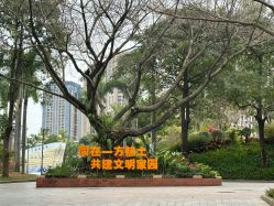 点击看大图 -深圳市儿童乐园