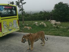 -西安秦岭野生动物园