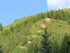 -塞罕坝国家级自然保护区