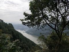 -铁山坪森林公园