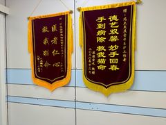 -中农国际动物医院24小时·猫科·骨科·急重症中心