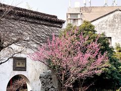 -艺圃