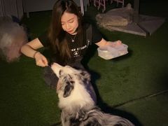 -浣熊柯尔鸭土拨鼠·电玩咖