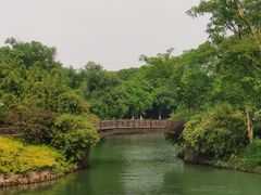 -西溪国家湿地公园