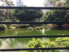 -九龙公园