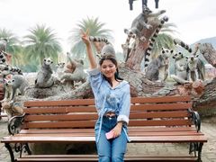 -清迈夜间动物园