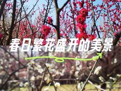 -蜀冈西峰生态公园