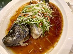 -新龙船黄浦江餐饮游船官方自营店