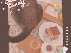 -猫友咖啡店(玉林西路店)