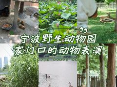 -宁波野生动物园