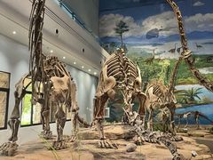 -自贡恐龙博物馆