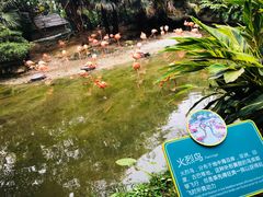 -东部华侨城