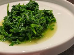 -柿合缘新京菜(国金中心商场店)