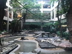 与白虎共餐-白虎自助餐厅·真老虎·景观自助餐厅(广州长隆酒店)