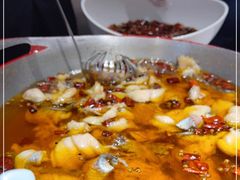 -雲蜀龙阁·金牌水煮鱼(方庄店)