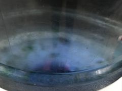 -仁爱团泊湖温泉中心
