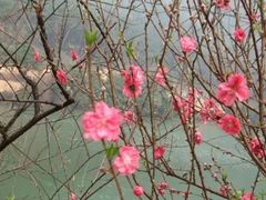 -南国桃园旅游度假区