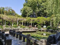 -太子山公园(园东路)