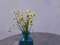 -COTTON CAFE(德信·中外公寓店)