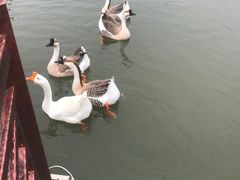 -木兰水镇旅游景区